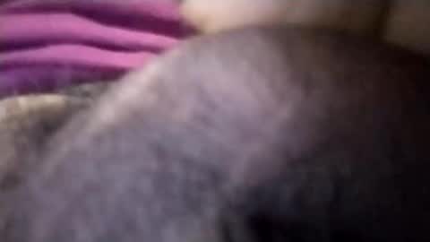 Snapshot of torresabel762 chatting on April 2026 03:56:01 PM torresabel762 online show from April 2026 03:56:01 PM