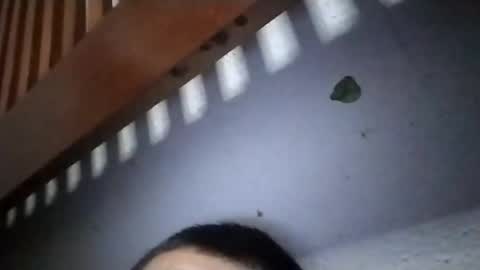 Snapshot of torresabel762 chatting on April 2026 10:14:02 AM torresabel762 online show from April 2026 10:14:02 AM