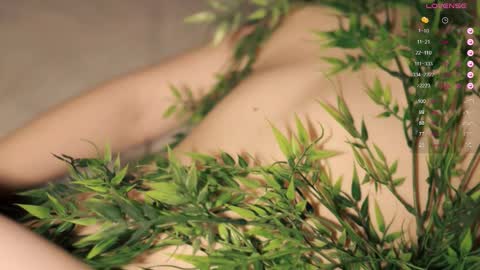 Toshi online show from September 2025 01:02:01 PM