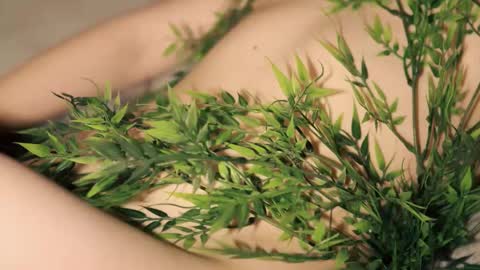 Toshi online show from January 2026 01:05:02 PM