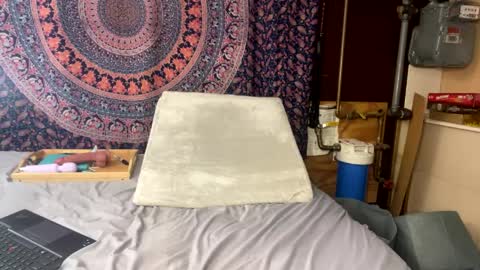 toxiclayne online show from April 2026 02:06:01 AM