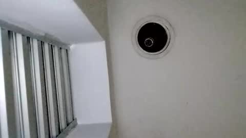 TradicionCanera23cm online show from March 2026 11:01:02 AM