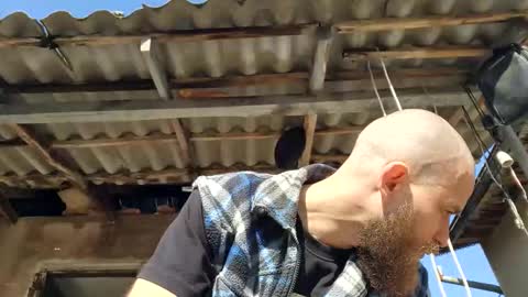 Tralalabala online show from March 2026 11:49:01 AM