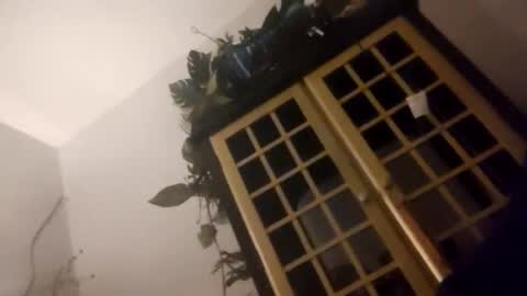 Snapshot of trans167456 chatting on December 2025 09:49:01 AM trans167456 online show from December 2025 09:49:01 AM