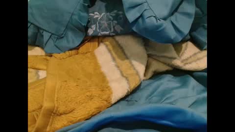 transexdotada online show from November 2025 11:26:01 PM