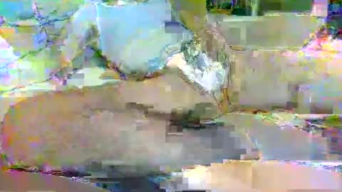 tree33007 online show from November 2025 06:25:01 AM