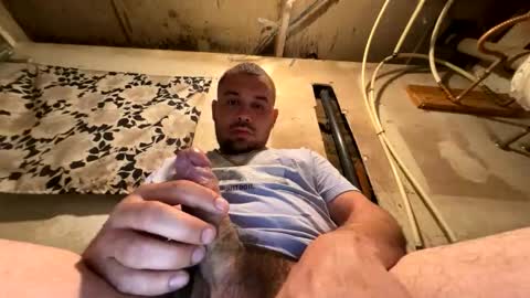 trees559 online show from March 2026 05:33:02 AM