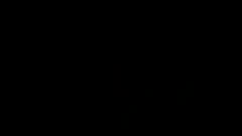 Snapshot of treimann chatting on January 2025 07:47:02 AM Thorcci online show from January 2025 07:47:02 AM