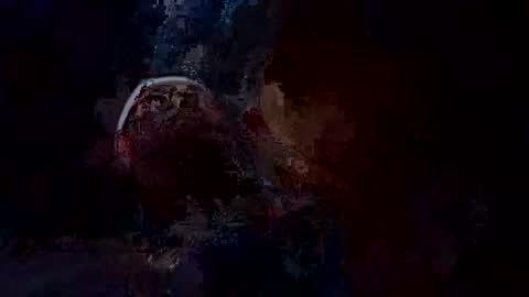 trex23rd online show from November 2025 08:24:01 AM