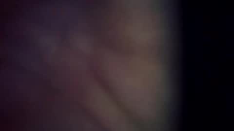 Snapshot of trex23rd chatting on March 2026 11:39:01 AM trex23rd online show from March 2026 11:39:01 AM