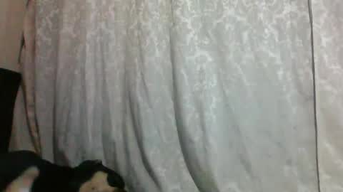 triana_bell online show from January 2025 02:40:01 AM