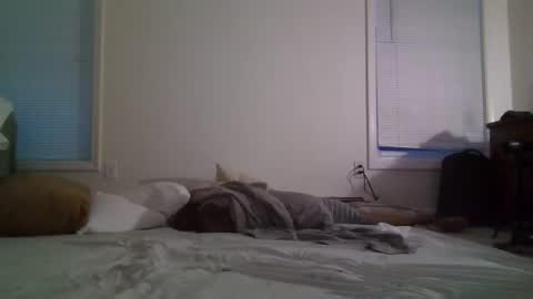 Snapshot of trickquestion chatting on February 2025 11:44:02 AM trickquestion online show from February 2025 11:44:02 AM