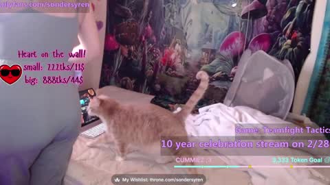 Cassie online show from February 2026 07:46:01 PM