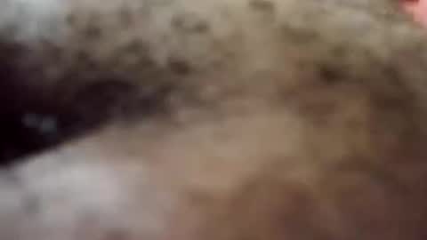 Snapshot of trinislim1868 chatting on October 2025 09:34:02 PM Antique-Shirt2516 online show from October 2025 09:34:02 PM