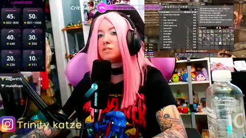 Snapshot of trinitykatze chatting on April 2026 06:46:02 PM Trin Kat pet online show from April 2026 06:46:02 PM