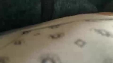 trobelle online show from November 2025 10:37:02 AM