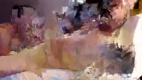 trojanswingers online show from February 2025 05:29:01 PM