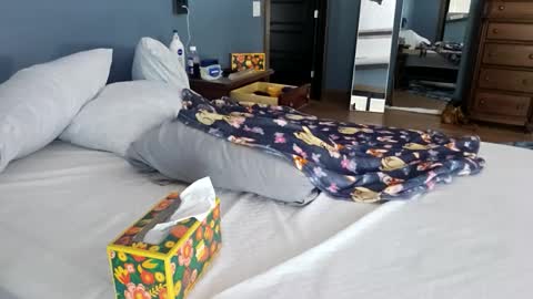 Snapshot of trojanswingers chatting on April 2026 04:41:01 PM trojanswingers online show from April 2026 04:41:01 PM