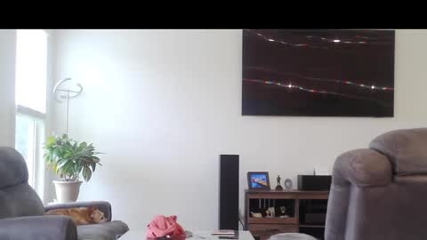 Snapshot of truckdoc26 chatting on October 2025 08:29:02 PM truckdoc26 online show from October 2025 08:29:02 PM