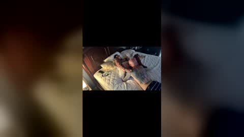 Snapshot of tslizzy0084 chatting on March 2026 05:18:01 AM tslizzy0084 online show from March 2026 05:18:01 AM