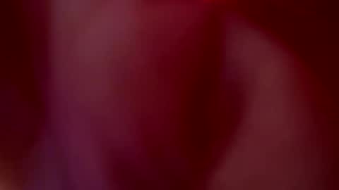 JULIETA  online show from October 2025 01:06:01 AM