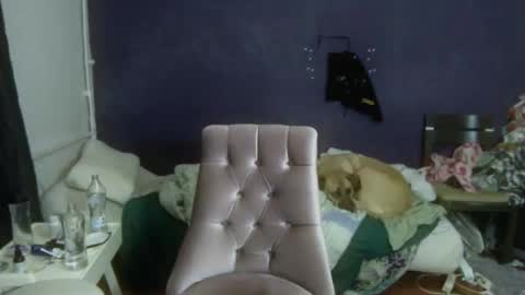 Snapshot of turkishtranswithsurgery chatting on December 2025 01:51:01 PM turkishtranswithsurgery online show from December 2025 01:51:01 PM