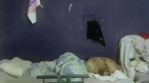 Snapshot of turkishtranswithsurgery chatting on April 2026 08:47:01 PM turkishtranswithsurgery online show from April 2026 08:47:01 PM