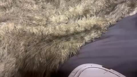 Snapshot of turntpixie chatting on March 2026 04:31:01 AM turntpixie online show from March 2026 04:31:01 AM