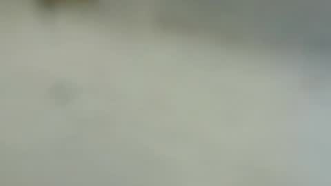 Snapshot of tutu1723153673 chatting on January 2025 06:10:01 PM tutu1723153673 online show from January 2025 06:10:01 PM