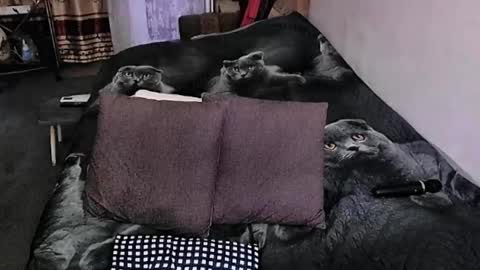 Lana online show from September 2025 10:55:02 PM