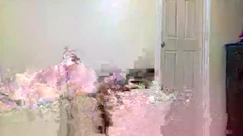 twinflamecaps online show from April 2026 08:20:02 AM