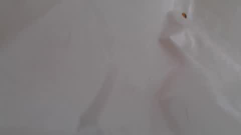 TwinFlameDesire online show from June 2026 12:33:01 PM