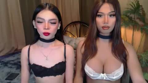 twinktransshanel online show from October 2025 04:21:02 AM