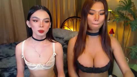 twinktransshanel online show from October 2025 05:05:01 AM