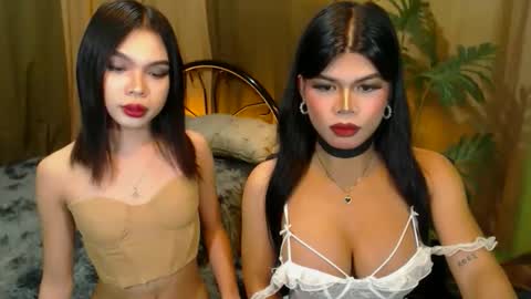 twinktransshanel online show from October 2025 10:16:01 AM