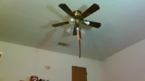 txblackbird online show from December 2025 04:04:01 PM