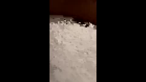 txcouple281 online show from November 2025 08:53:02 AM