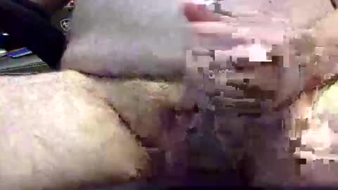 Snapshot of txranger6519 chatting on April 2026 12:39:01 PM txranger6519 online show from April 2026 12:39:01 PM