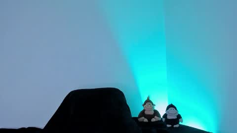 Tyler online show from February 2026 01:00:02 AM