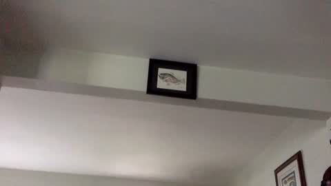 Tyler Durden online show from February 2025 06:12:01 PM