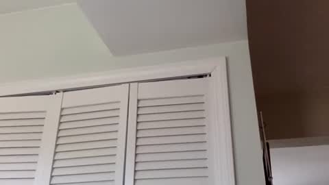 Tyler Durden online show from March 2025 03:38:02 PM