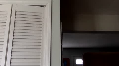 Tyler Durden online show from March 2025 07:45:02 PM