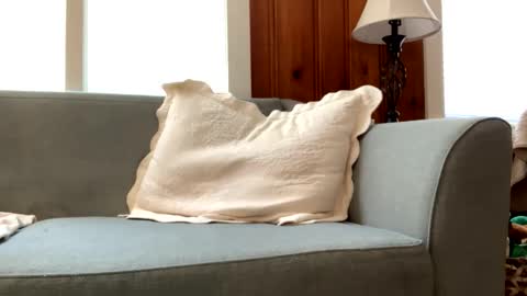 Tyler Sands online show from March 2025 03:05:01 PM