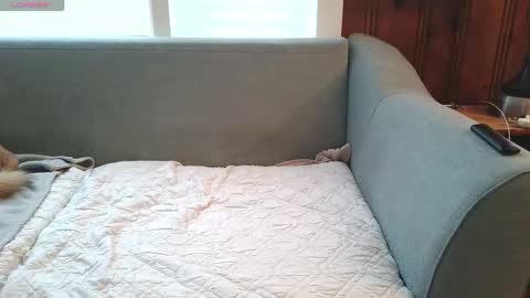 Tyler Sands online show from December 2025 12:54:01 PM