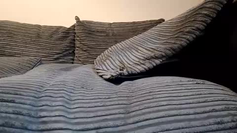 tyson2512 online show from February 2026 03:19:02 PM