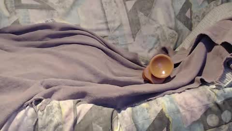 Helena and Tyson online show from September 2025 03:41:01 AM