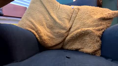 Snapshot of ukclive chatting on February 2025 01:22:02 PM ukclive online show from February 2025 01:22:02 PM