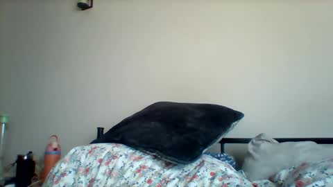 Snapshot of uncircumcise30 chatting on March 2026 12:53:02 PM uncircumcise30 online show from March 2026 12:53:02 PM