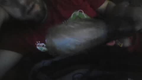 UncutGem online show from December 2025 07:03:01 AM