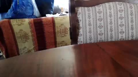 patricia online show from July 2026 12:22:02 PM